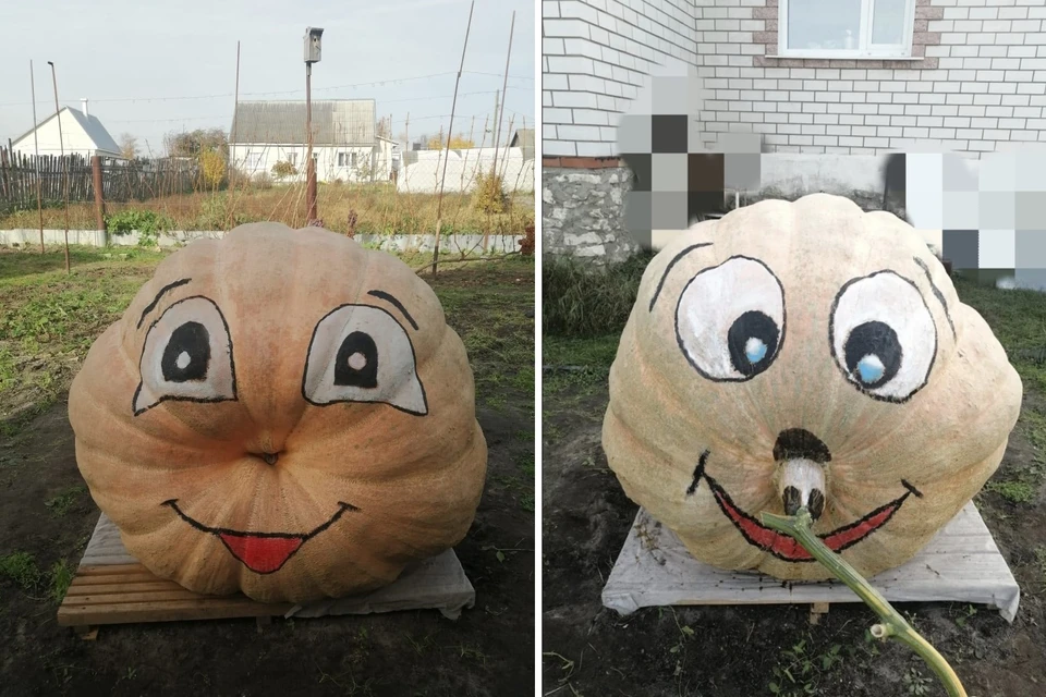 В Касимове появилась новая «достопримечательность». Фото: "Типичный Касимов".