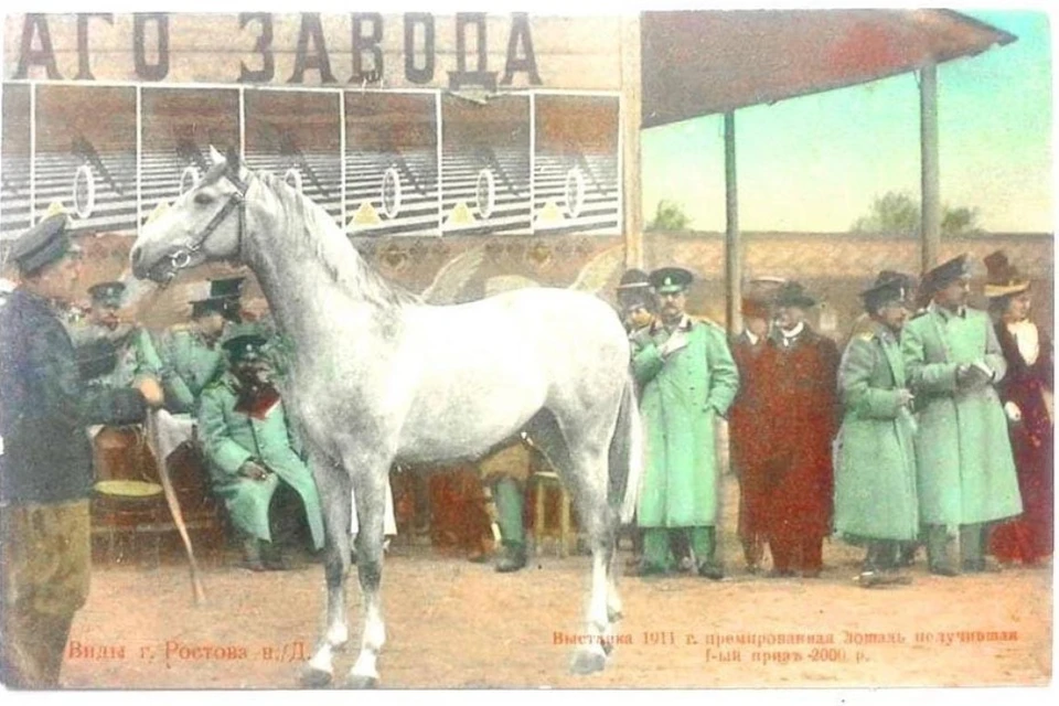 Ростовский ипподром на почтовой фотооткрытке 1911 года. Фото: ВООПИиК, сайт "Ростовский берег"