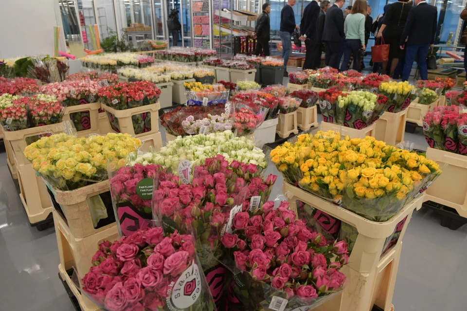 Оптовый "продавец" цветов обманула клиентов на 850 тысяч рублей.