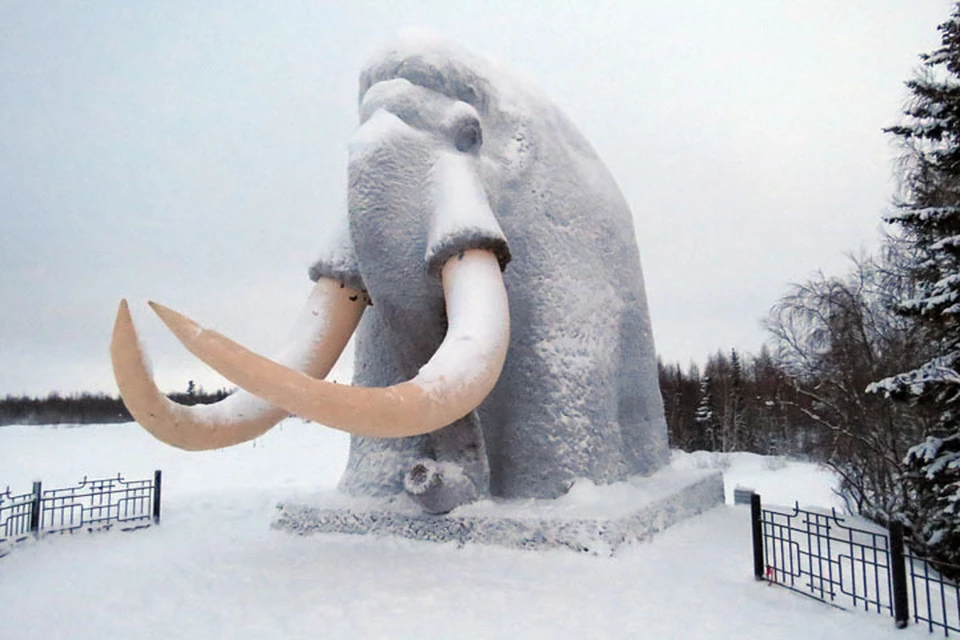 Афиша на Ямале с 18 по 19 октября