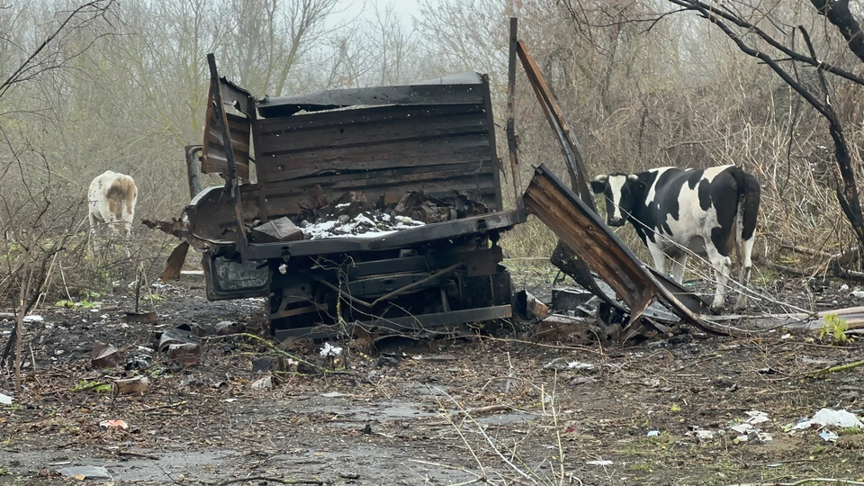В Якутии спасатели вытащили груженый скотом «КамАЗ» из речки