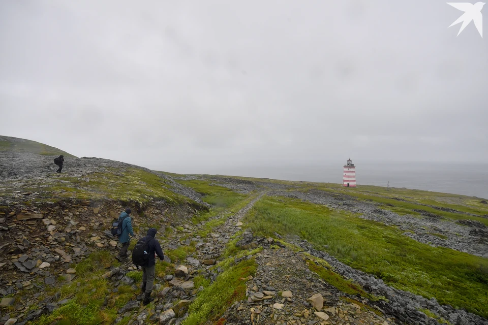 В 2024 году Мурманскую область посетили 67 500 иностранных туристов.