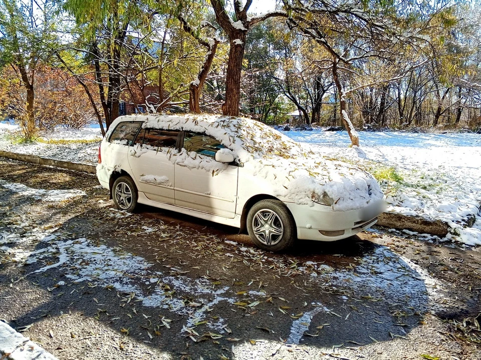 Припаркованные автомобили засыпало листьями и снегом