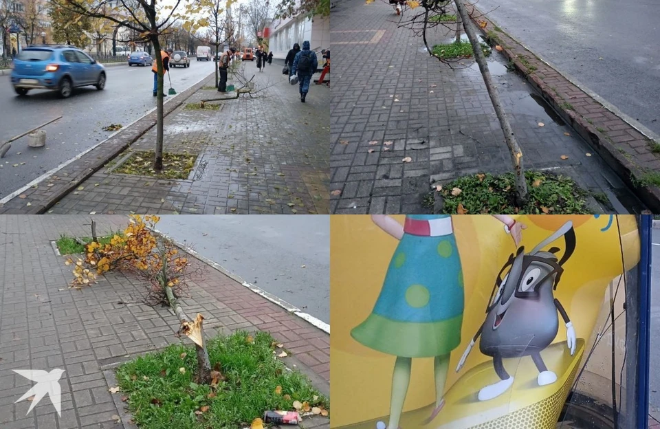 В Калуге вандалы сломали деревья и повредили оборудование на улице Кирова.