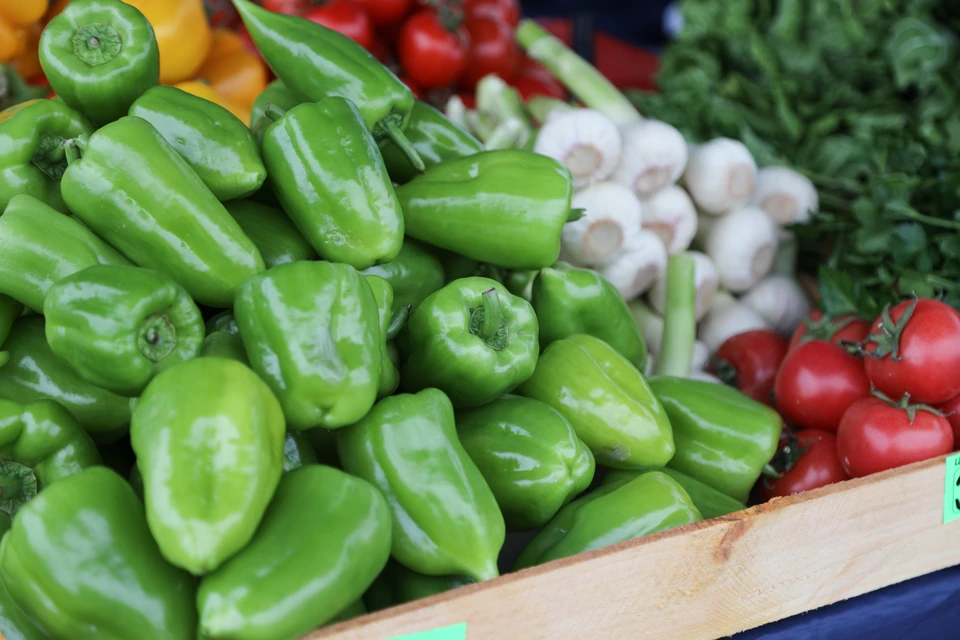 В Приморье построят новую ферму для выращивания двух тысяч тонн овощей в год