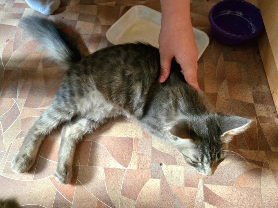 Фото: УГОиЧС Челябинска