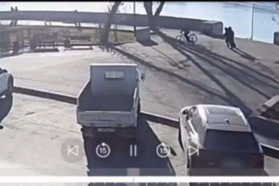 В Иркутске велосипедист наехал на собаку на глазах у хозяйки