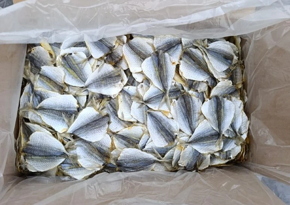 Инспекторов смутил срок годности на упаковках с рыбой. Фото: https://t.me/primorskfsvps