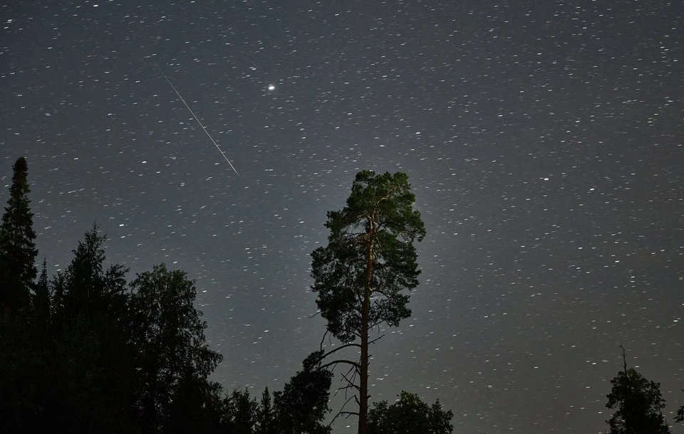 Россияне смогут увидеть пик звездопада эта-Аквариды на рассвете в мае
