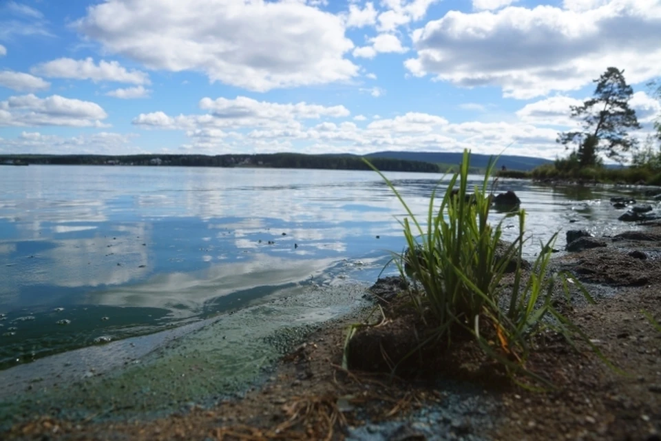 С 2025 года в регионе стартует новый экологический проект.