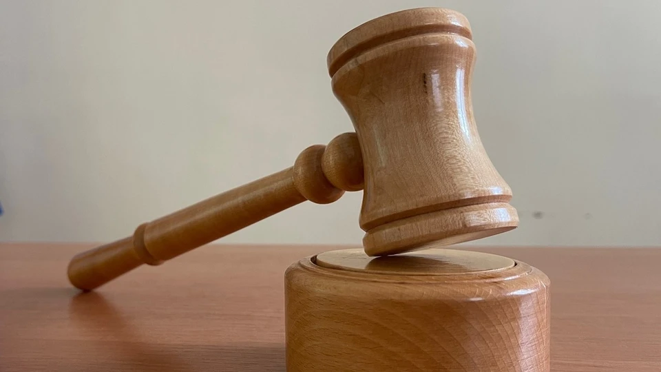 Братоубийцу приговорили к 9 годам лишения свободы в колонии строгого режима