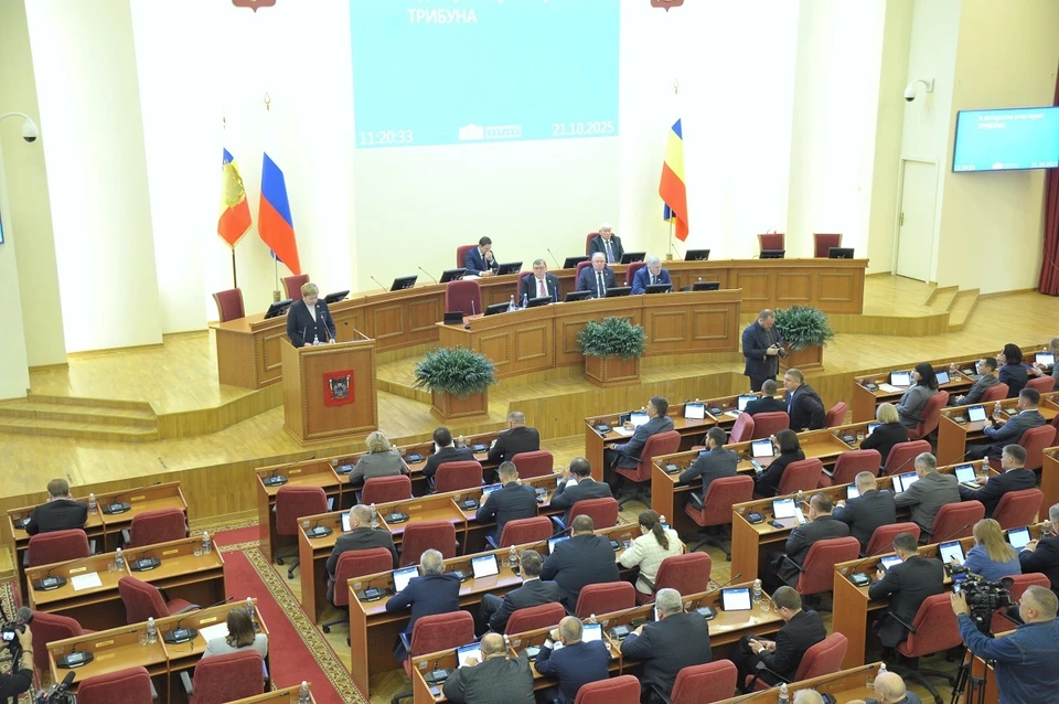 Донские депутаты утвердили системный подход к поддержке детей-сирот.