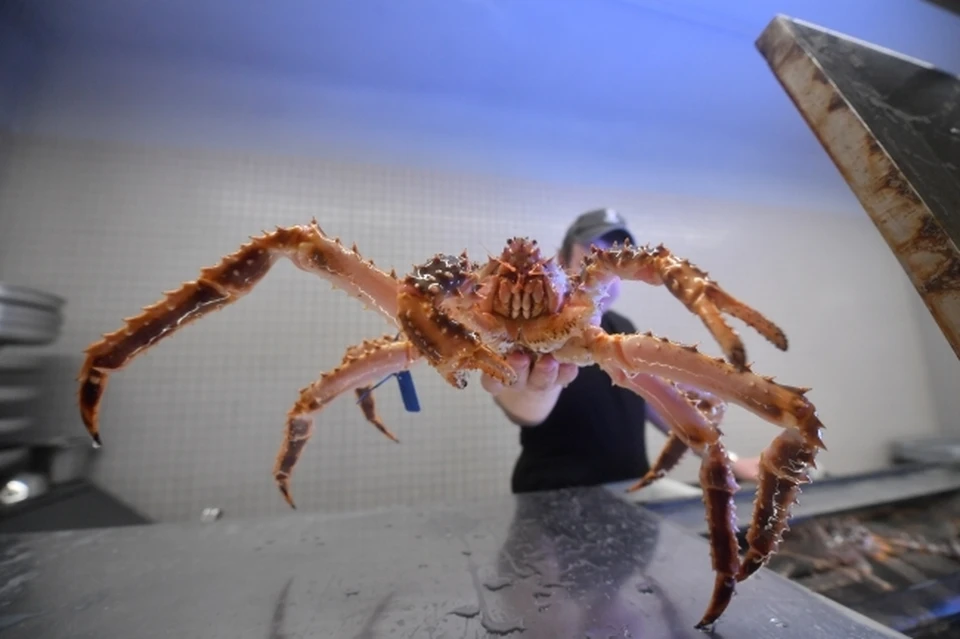 В Приморье троих браконьеров осудят за вылов краба на четыре миллиона рублей