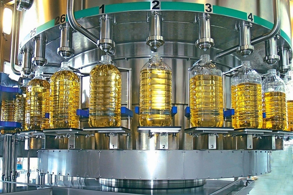 Фото: Правительство Башкирии