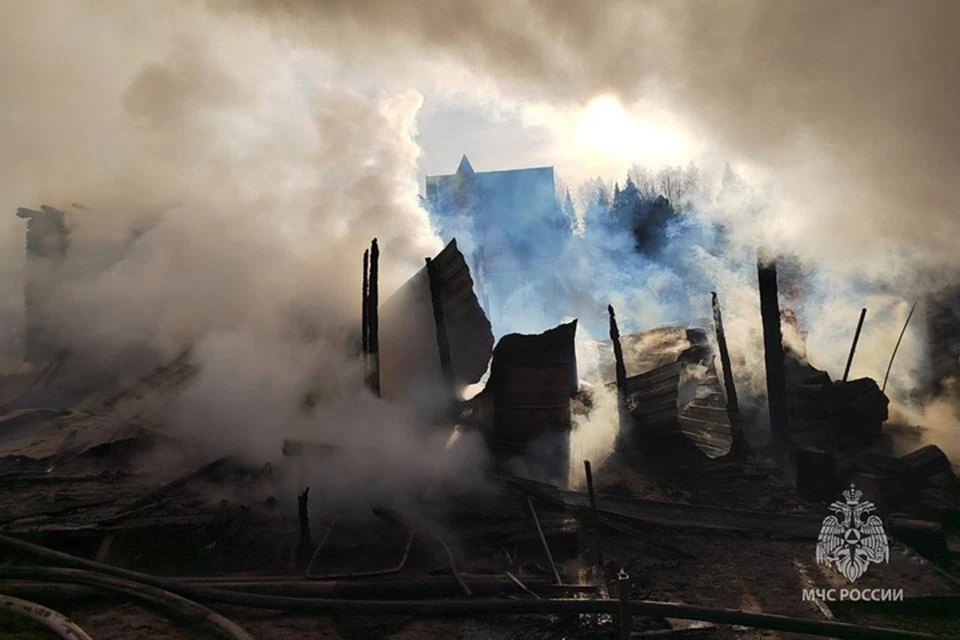 Фото: МЧС ХМАО-Югры