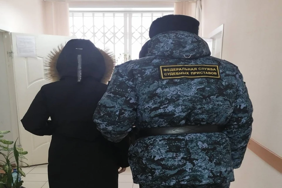 Жительница Мошковского района проведёт 10 суток под арестом за неуплату алиментов. Фото: ГУФССП по Новосибирской области