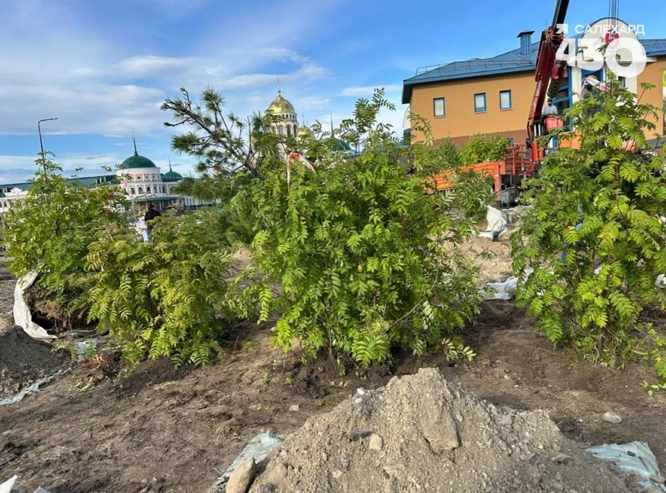 Фото: администрация Салехарда