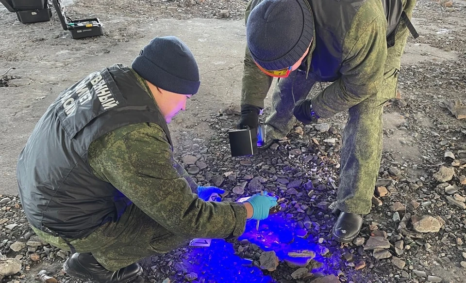 В городе Чадаан устанавливаются обстоятельства убийства молодой женщины. Фото: СК по Туве