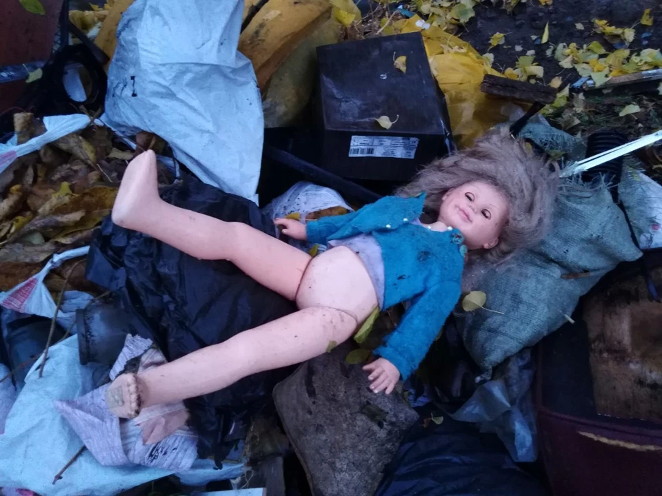 Фото Елены Федяшевой