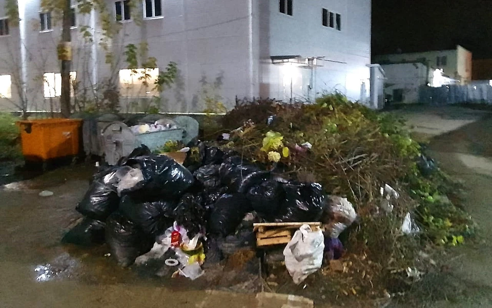 В Калуге негабаритный мусор «вылез» на дорогу.