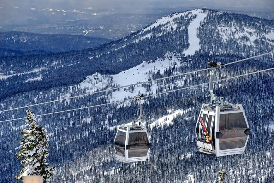 Фото: телеграм-канал Елены Латышенко.