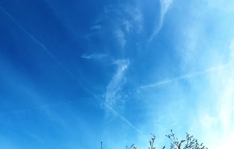 ПВО уничтожила семь дронов над районами Калужской области.