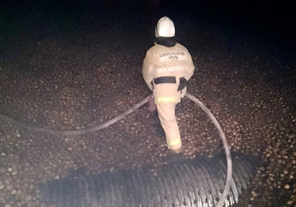 В селе Крымка произошел крупный пожар на складе овощей. Фото: МЧС Крыма/Tg