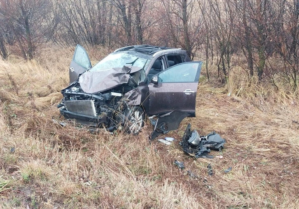 На трассе в Ульяновской области иномарка улетела в кювет. Фото Госавтоинспекция УО