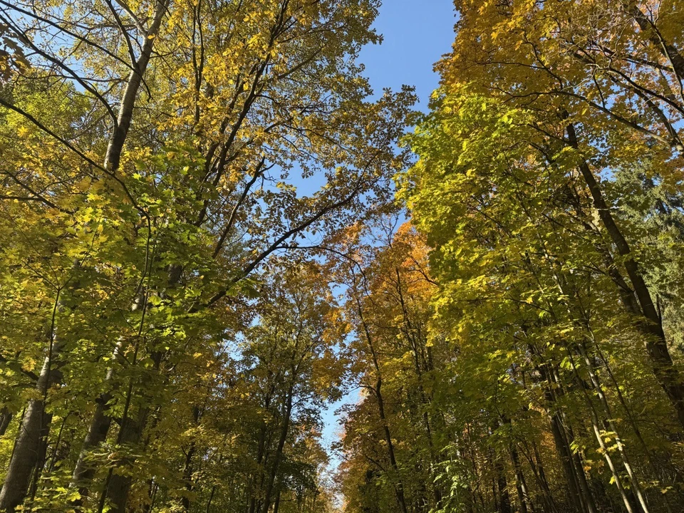 В Тюмени в ноябре резко изменится погода.