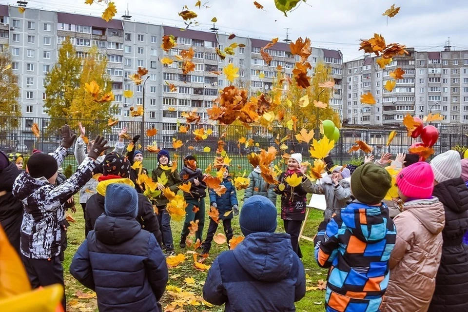 Для создания классов на свежем воздухе администрация привлекла партнерские компании. Фото: администрация города Твери
