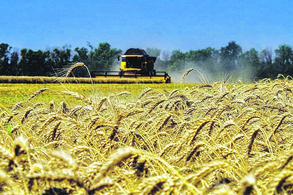 Правительство области