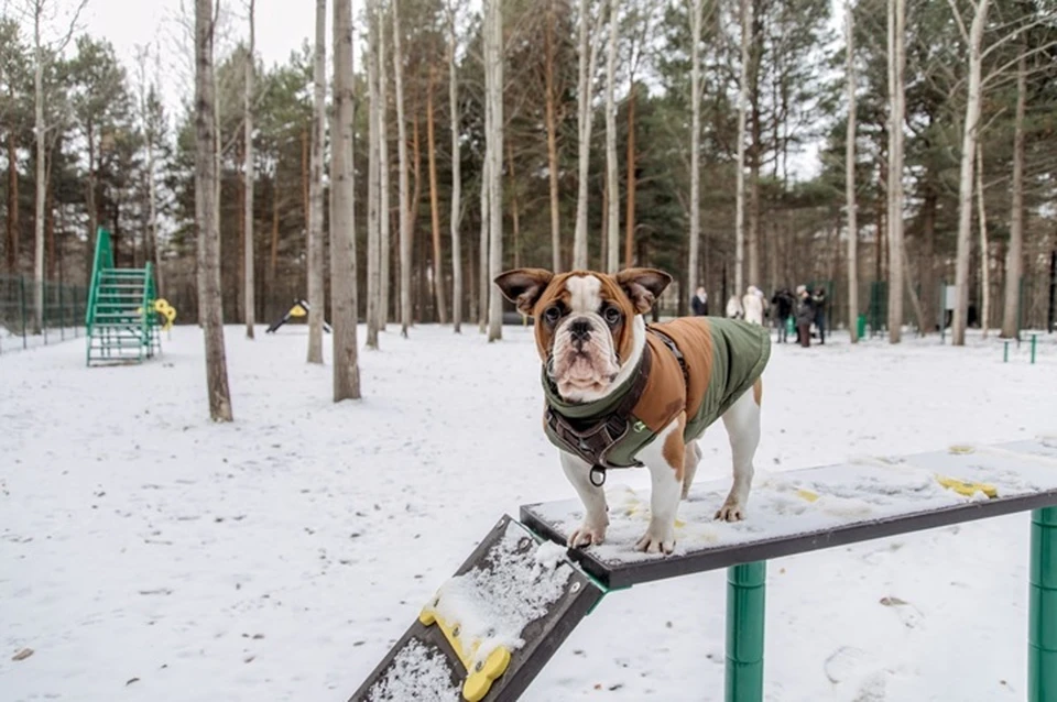 Фото: администрация Сургута
