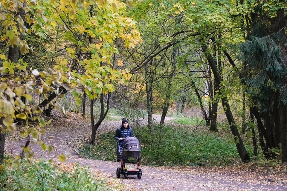 Пособия за октябрь придут раньше срока.