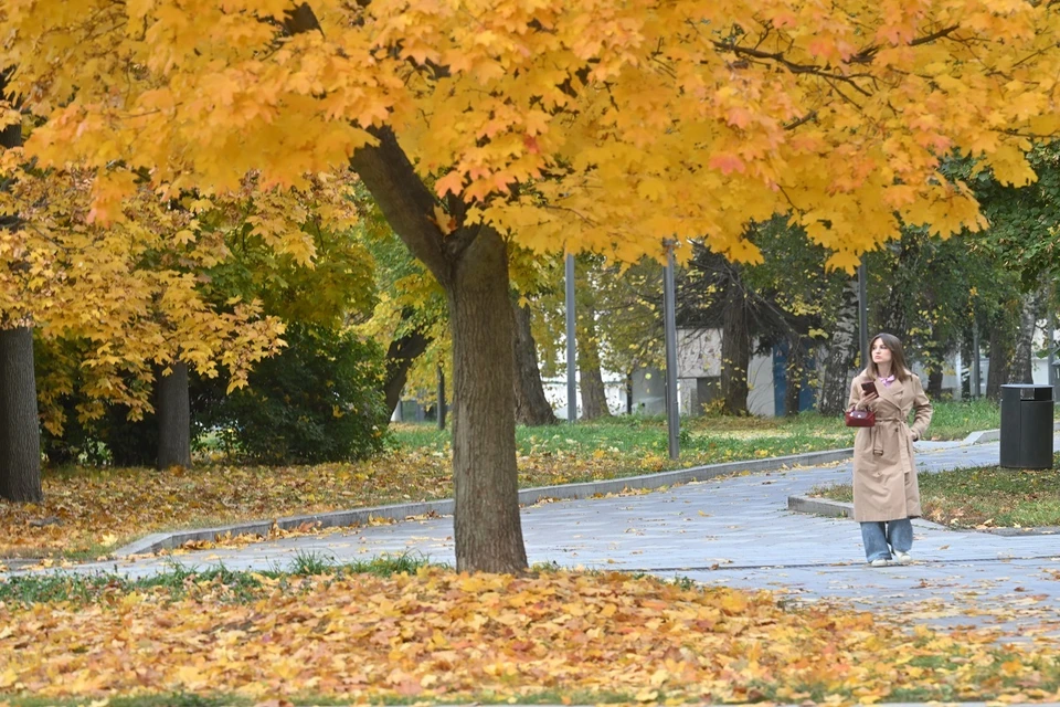 Сквер имени Эдуарда Артемьева появится в Заельцовском районе.