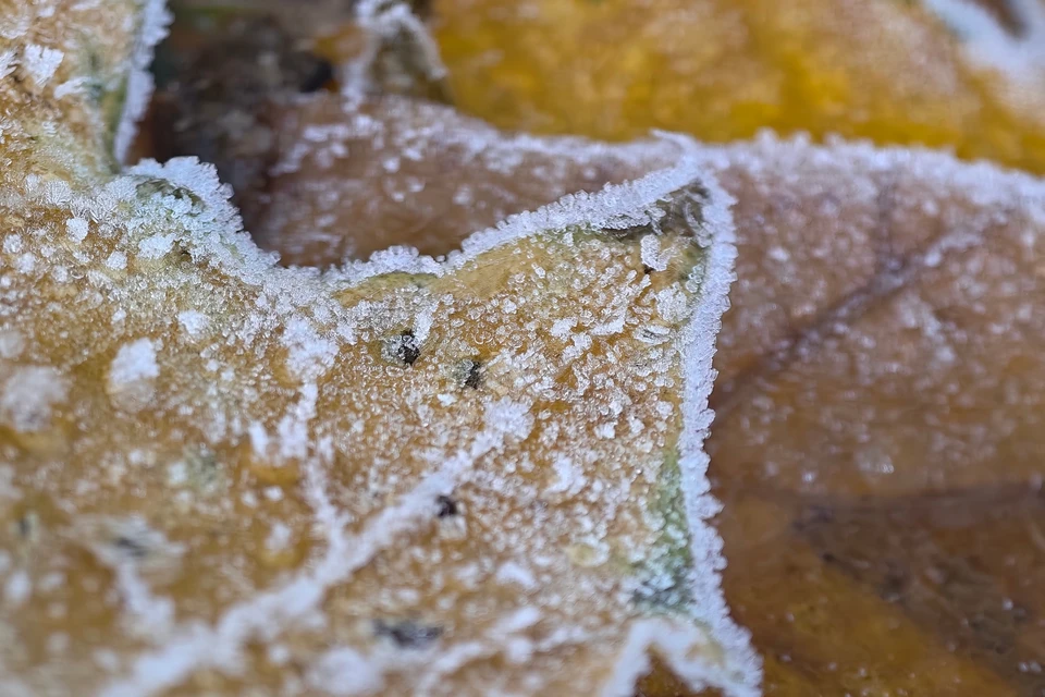 В Якутии ожидаются снег, сильный ветер и резкое похолодание