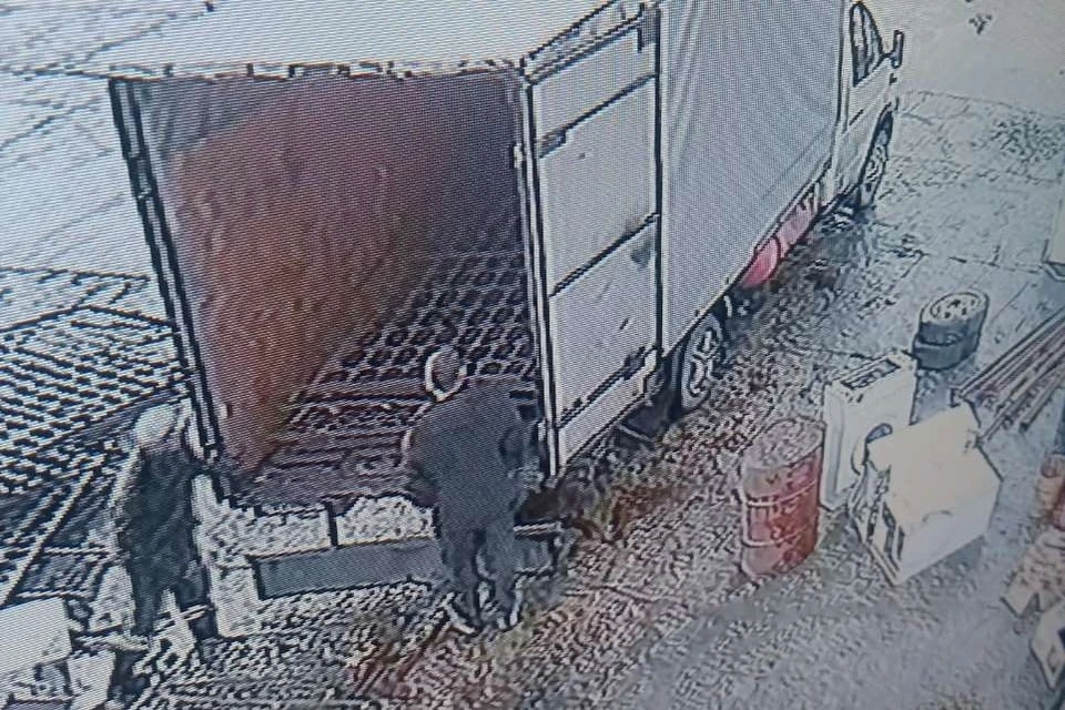 Двое ульяновцев решились украсть забор у колонии | ФОТО: УФСИН России по Ульяновской области