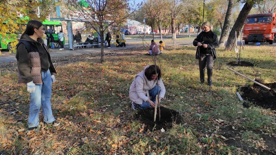 Одновременно озеленили и сквер имени Александра Прохоренко, где высадили 17 крупных деревьев.