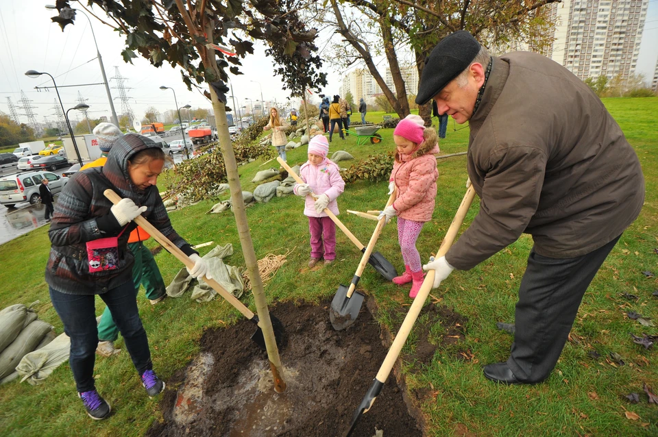 Фото: архив КП