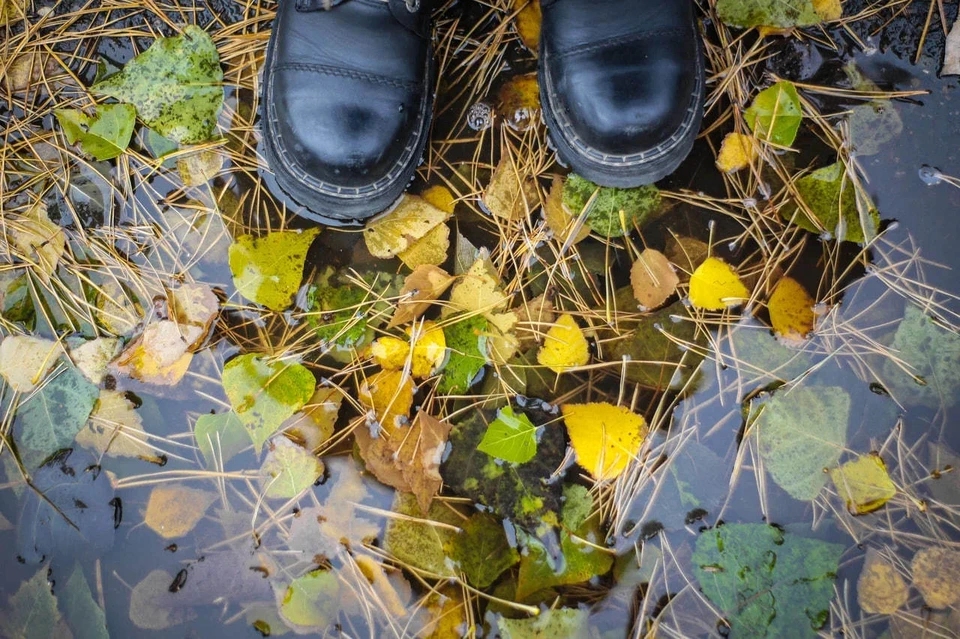 В выходные дни регион будет находиться под влиянием континентального антициклона, что обеспечит сухую и умеренно теплую погоду