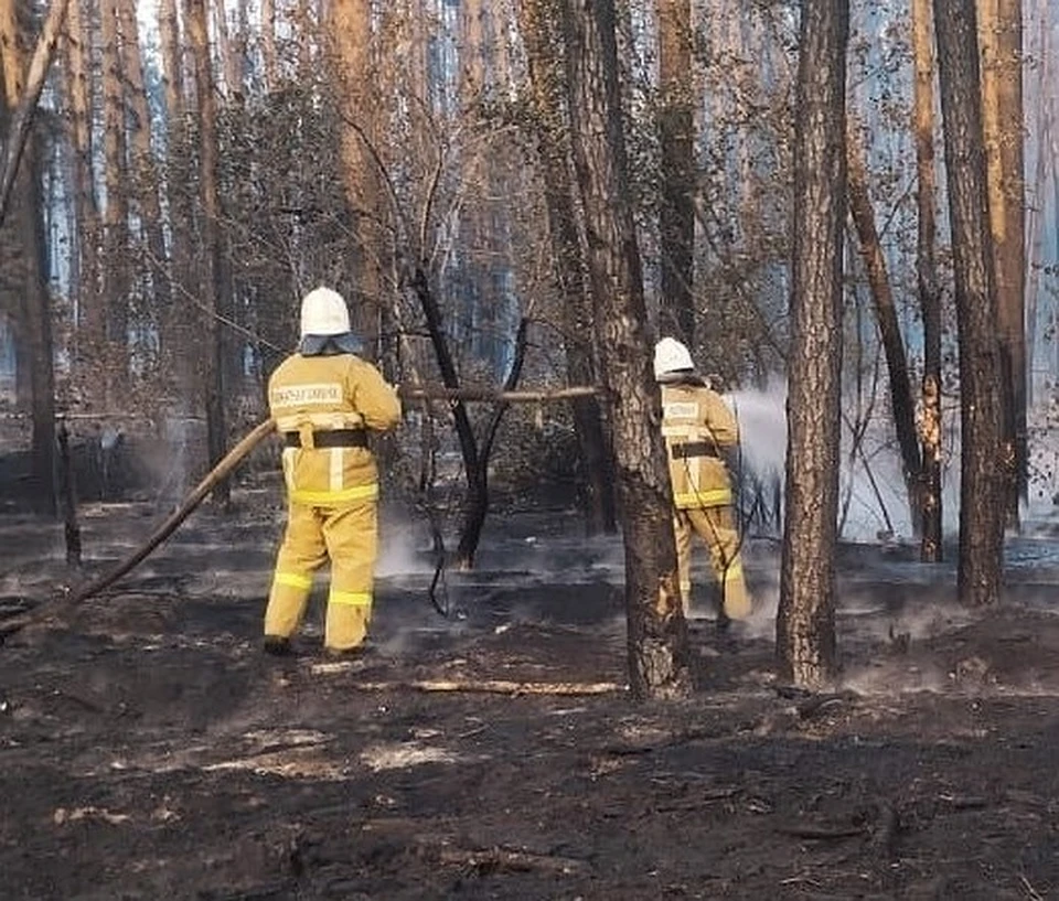 Фото из архива КП