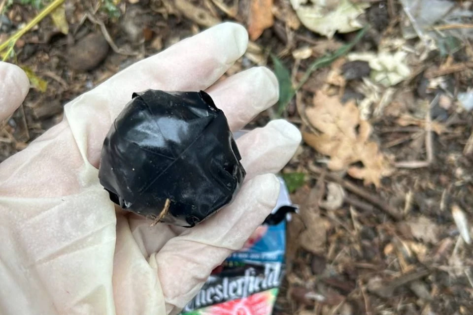 Фото: МВД ЛНР