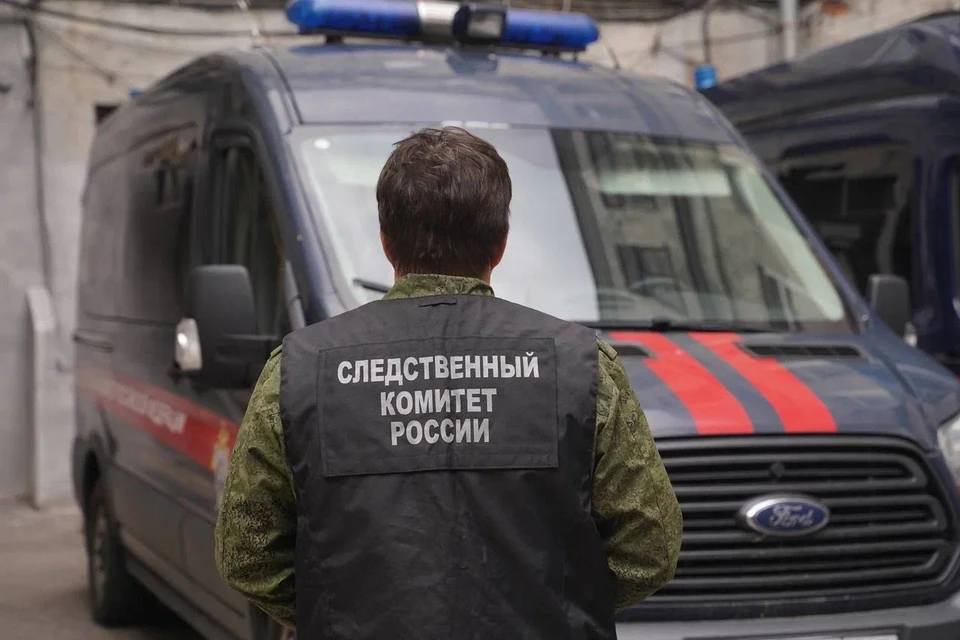 Возбуждено уголовное дело