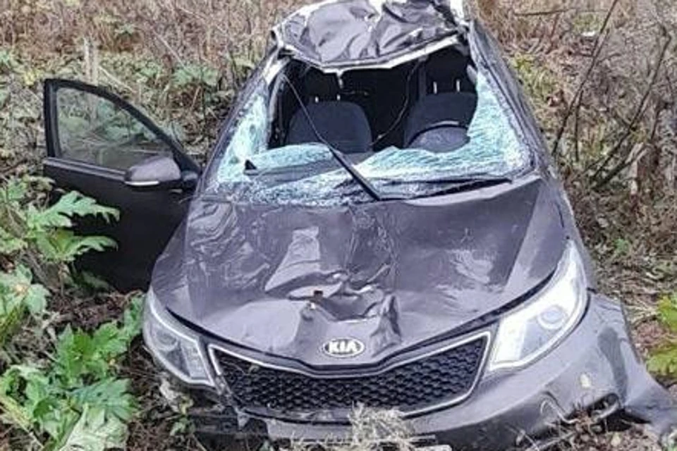 Автомобиль сбил лося. Фото: Госавтоинспекция Тверской области