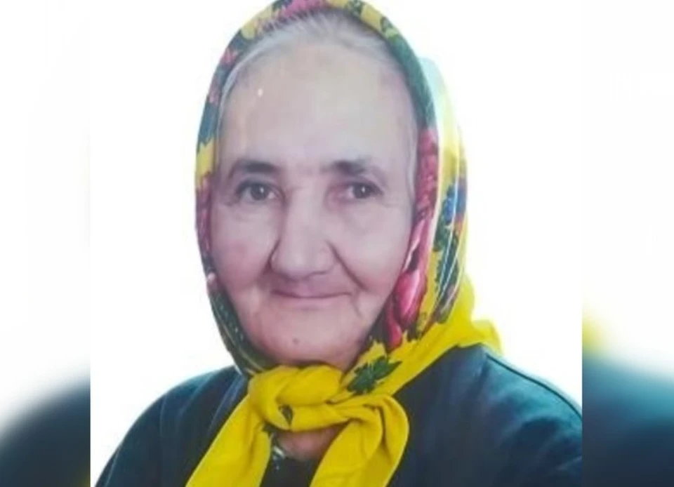 Фото: «Лиза Алерт»