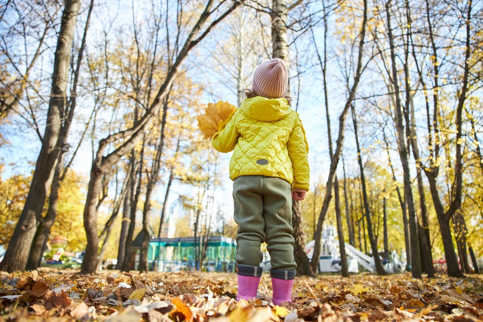 Родители сообщают о попытках похищения детей в Новосибирске.