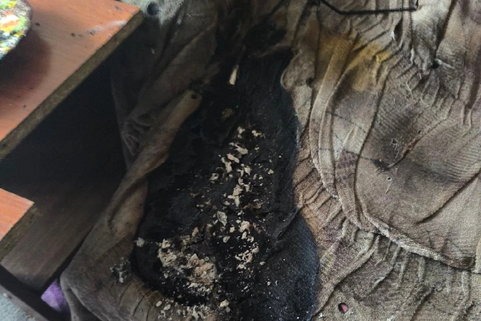 Причина пожара и ущерб от него устанавливаются. Фото: vk.com/murman01