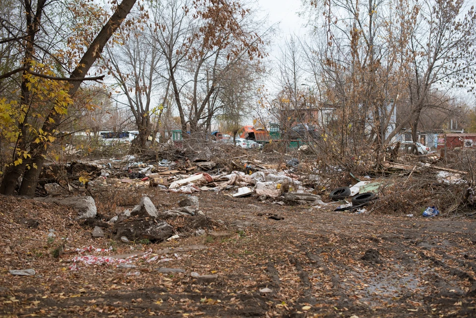 В обязанности подрядчика войдет вывоз скопившегося мусора, расчистка дворовых территорий и пустырей.