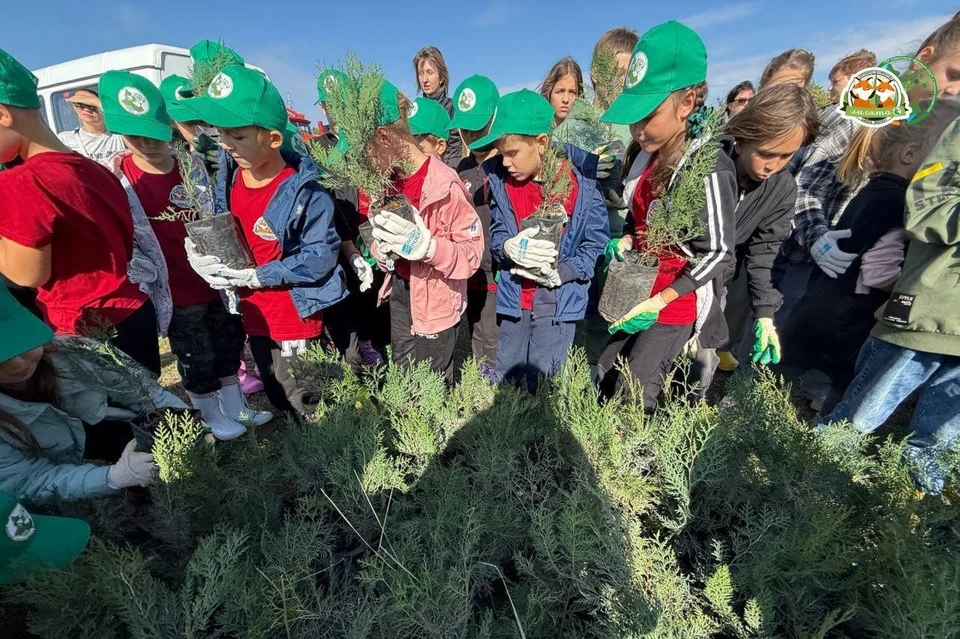 Фото: ГБУ «Дирекция ООПТ и лесного хозяйства»