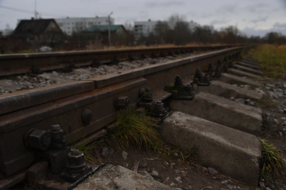 В Уссурийске полиция сняла с поезда пару за нарушение общественного порядка