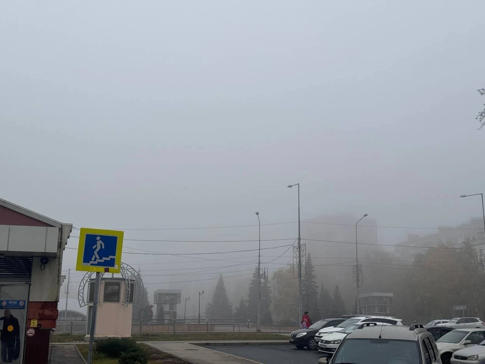 В туман жителей региона просят обязательно соблюдать правила безопасности на дорогах.